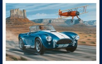 Ac Cobra et Boeing Stearman dans le Monument Valley