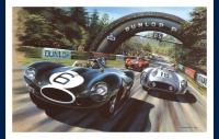 Le Mans 1955, Jaguar Type D, Mike Hawthorn