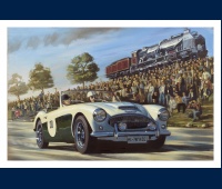 Austin Healey, mille Miglia 1957