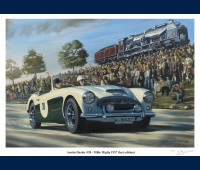 austin_healey_mille_miglia_1957_856171989