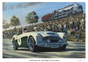 austin_healey_mille_miglia_1957_856171989