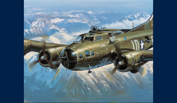 B17 Wolf Pack peinture detail 1