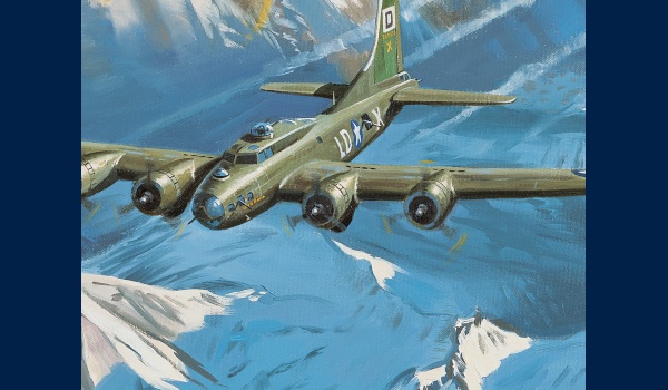 B17 Wolf Pack peinture detail 2