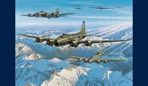 B17 Wolf Pack peinture