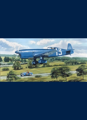 Caudron C450, Maurice Arnoux, peinture originale