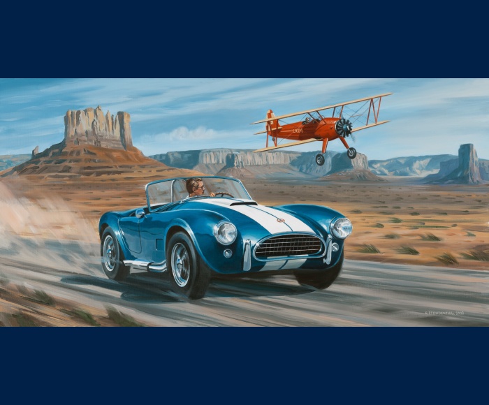 Ac Cobra et Boeing Stearman