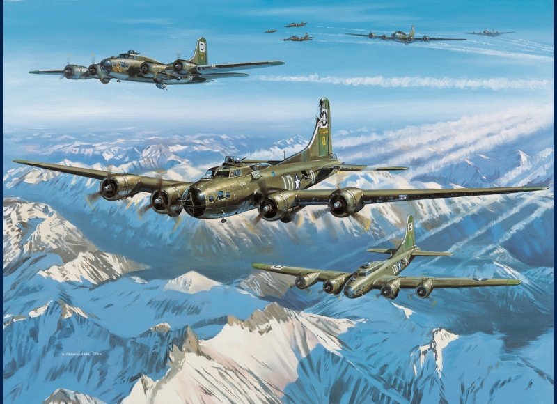 B17 Wolf Pack peinture