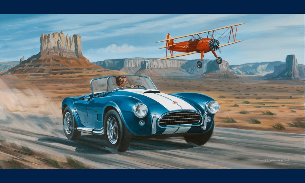 Ac Cobra et Boeing Stearman